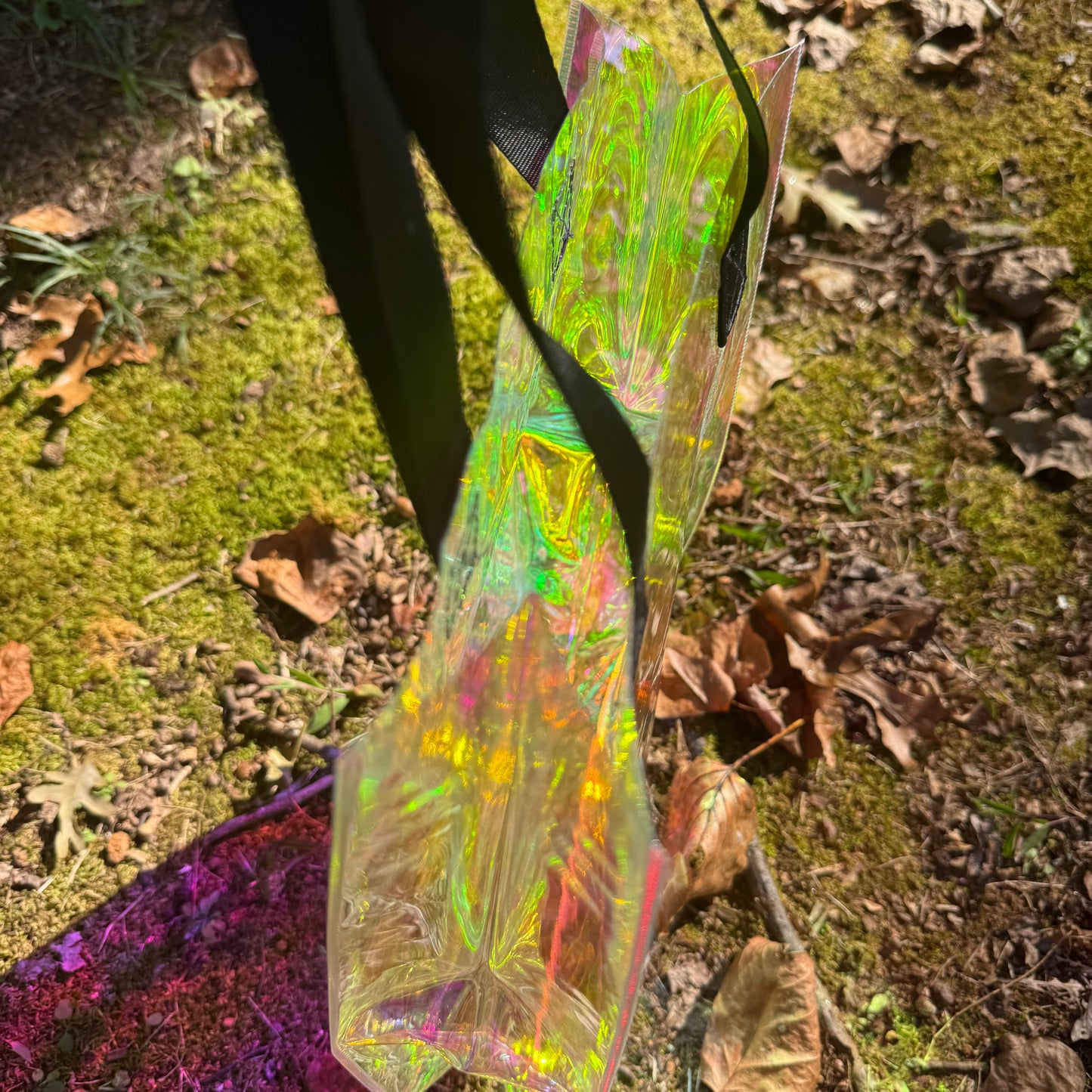Iridescent Tote